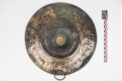 Foto von Bronzebreitrandfußschale (NHMW-PRAE-025274)